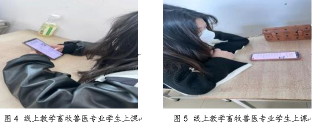 1650519785522039.png
